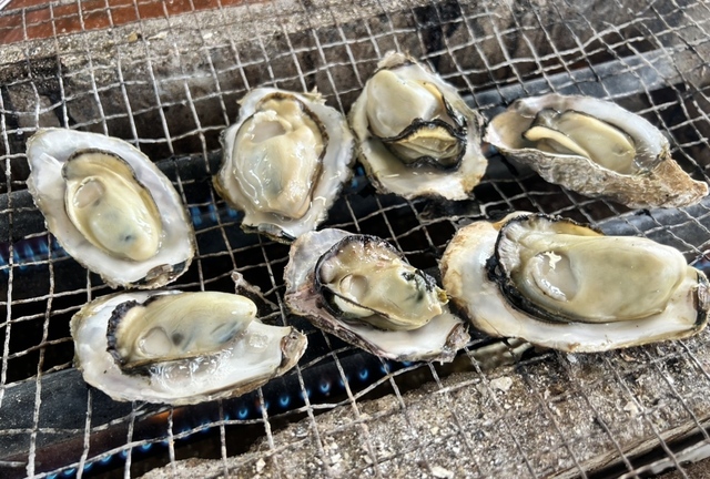 スタッフブログ更新しました！