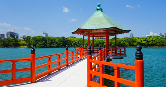 スタッフブログ更新しました！