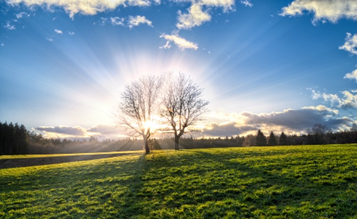 スタッフブログ更新しました！