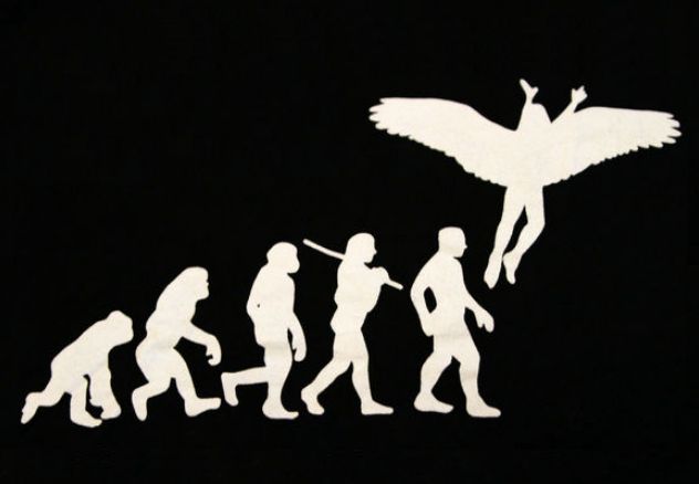 「進化する会社」