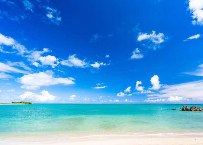 スタッフブログ更新しました！