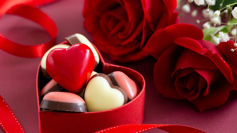 スタッフブログ更新しました！